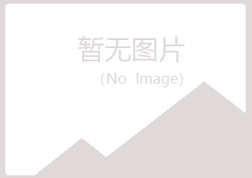 宁夏山柏建设有限公司